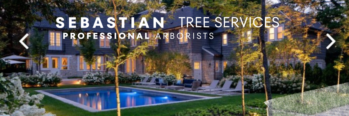 About Sebastian Tree Services